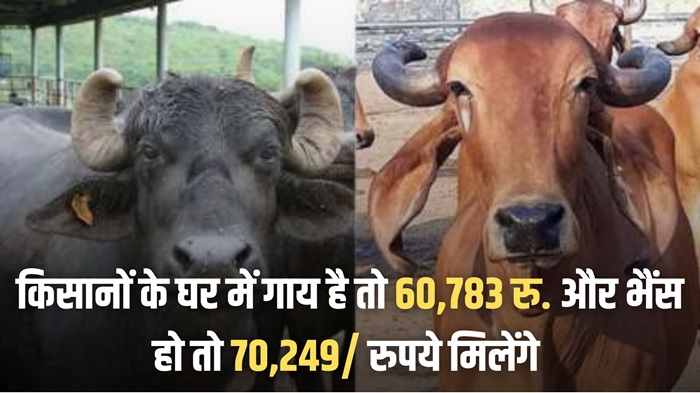 Animal Husbandry
