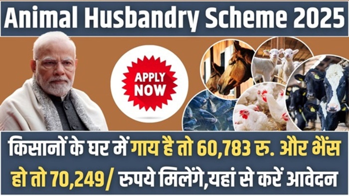 Animal Husbandry