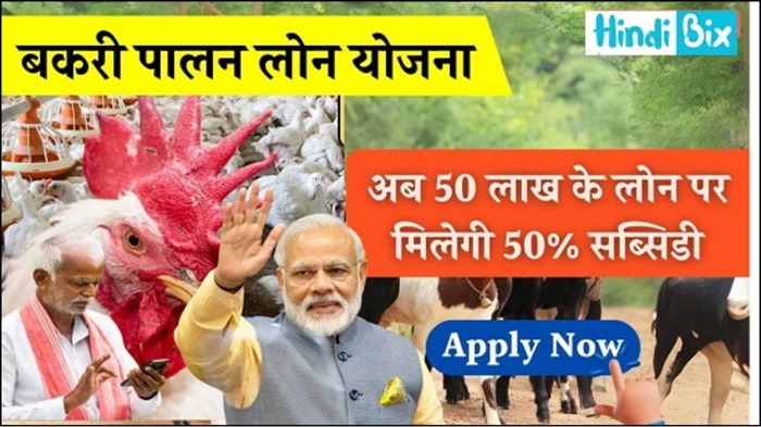 Poultry Farm Loan 2025