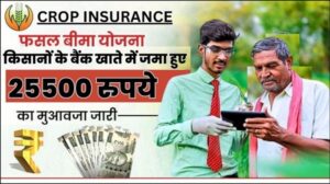 Crop Insurance Payment 2024