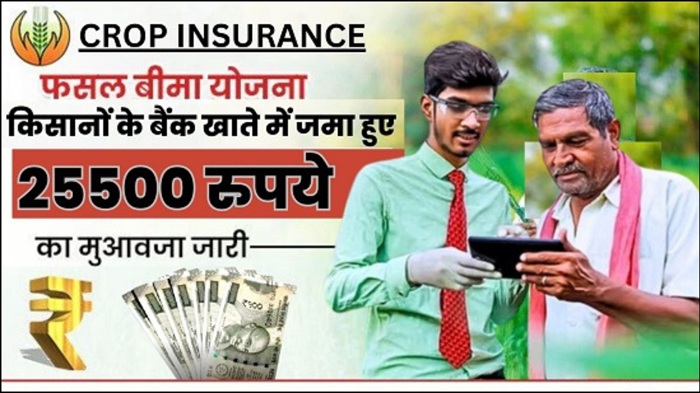Crop Insurance Payment 2024