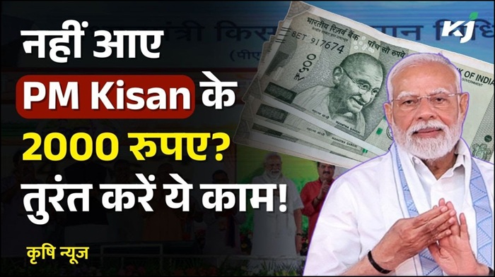 PM Kisan Yojana