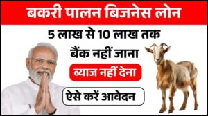 Bakri Palan Loan Yojana 2025