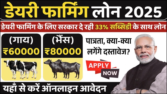 Dairy Farming Loan Apply Online