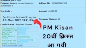 PM Kisan